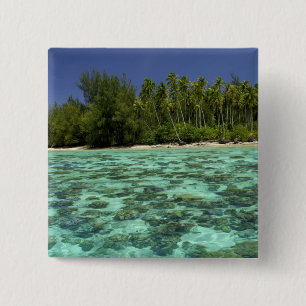 Bóton Quadrado 5.08cm Pacífico Sul, Polinésia Francesa, Coreia 3