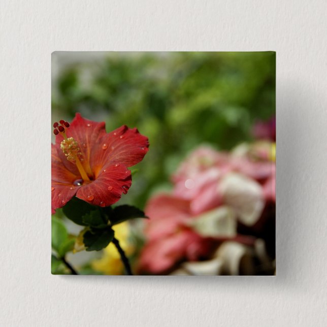 Bóton Quadrado 5.08cm Pacífico Sul, Polinésia Francesa, Sociedade 2 (Frente)