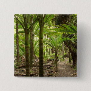 Bóton Quadrado 5.08cm Palmeiras Nikau, Heaphy Track, perto de Karamea,