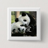 Pandas gigantes pequenas Loving chinesas