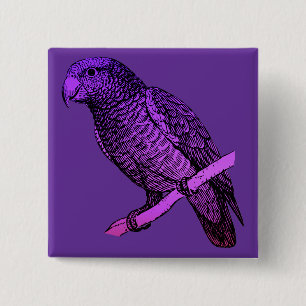 Bóton Quadrado 5.08cm Papagaio roxo