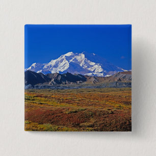 Bóton Quadrado 5.08cm Parque Nacional Denali Mt. McKinley, Alasca.