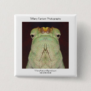 Bóton Quadrado 5.08cm Parte do Promo do camaleão