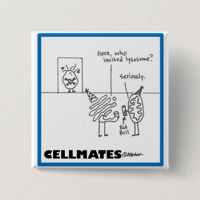 Bóton Quadrado 5.08cm Partido do Organelle (Frente)