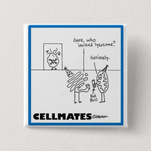 Bóton Quadrado 5.08cm Partido do Organelle