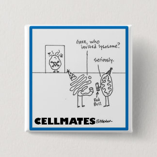 Bóton Quadrado 5.08cm Partido do Organelle