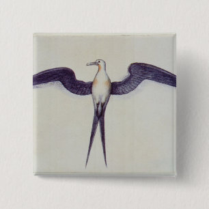 Bóton Quadrado 5.08cm Pássaro de fragata