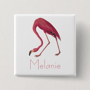 Bóton Quadrado 5.08cm Pássaros da América Flamingo, cor-de-rosa, de Au
