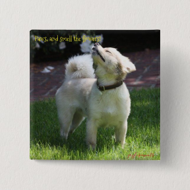 Bóton Quadrado 5.08cm Patas, e cheirar as flores (Frente)