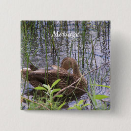 Bóton Quadrado 5.08cm Pato Preening nos Leeds