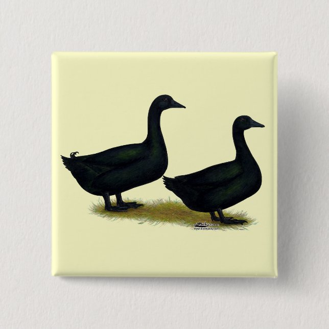 Bóton Quadrado 5.08cm Patos:  Black Cayugas (Frente)