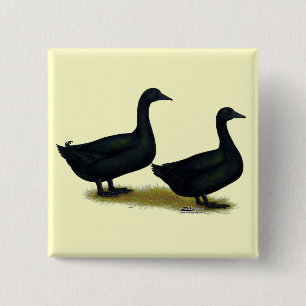 Bóton Quadrado 5.08cm Patos: Black Cayugas