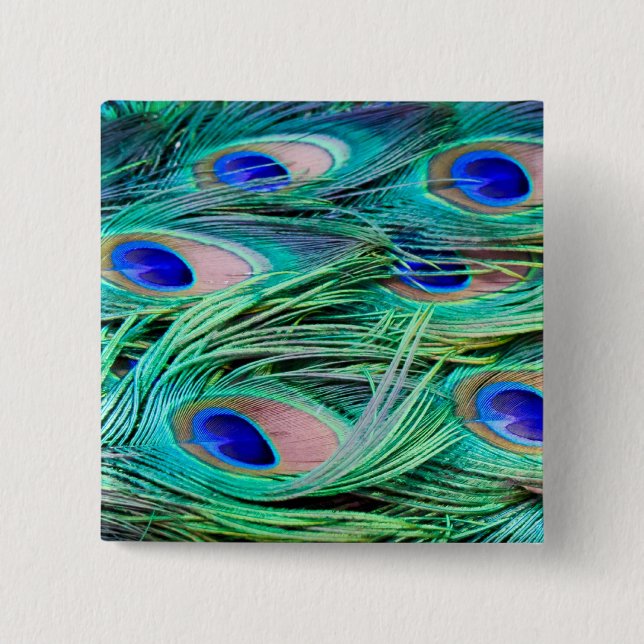 Bóton Quadrado 5.08cm Penas do pavão (Frente)