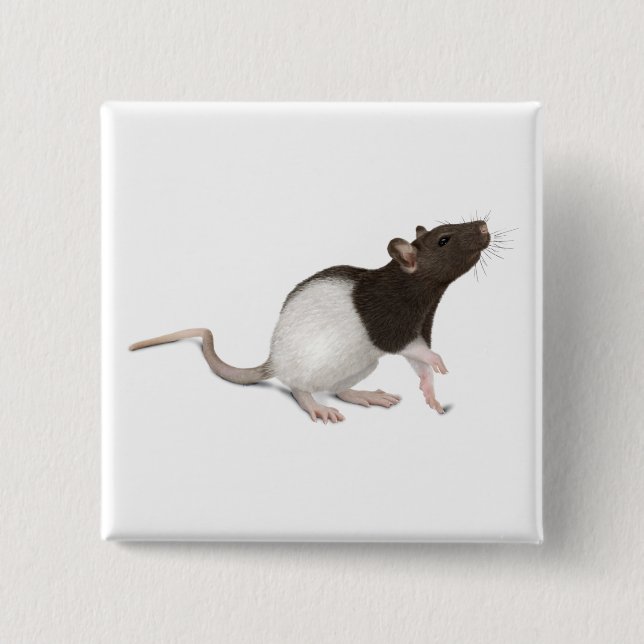 Bóton Quadrado 5.08cm Pet Rat Painting (Frente)
