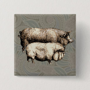 Bóton Quadrado 5.08cm Pigres Antigos Desenho de piggy da vindima