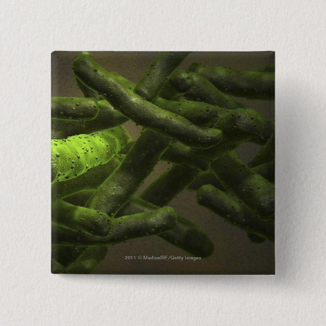 Bóton Quadrado 5.08cm Pilhas da tuberculose de Mycobacterium (Frente)