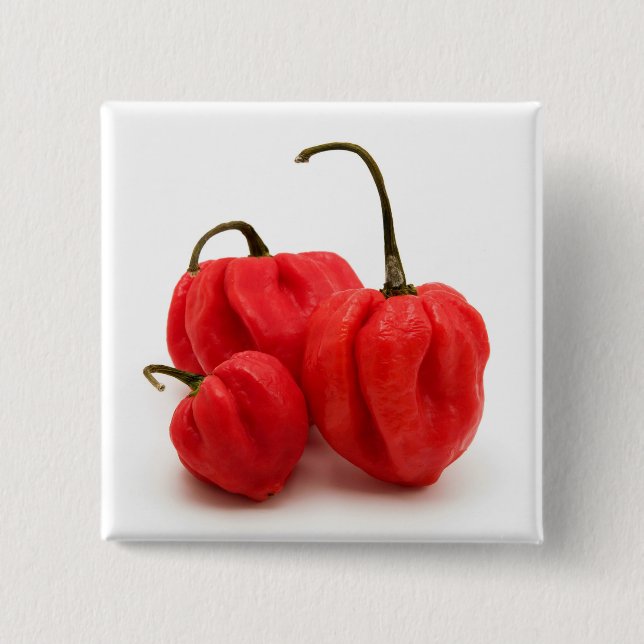 Bóton Quadrado 5.08cm Pimento doce (Frente)