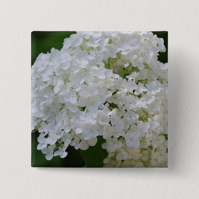 Bóton Quadrado 5.08cm Pin branco dos Hydrangeas (Frente)