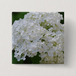 Bóton Quadrado 5.08cm Pin branco dos Hydrangeas