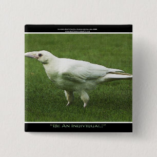 Bóton Quadrado 5.08cm Pin branco raro da motivação do corvo