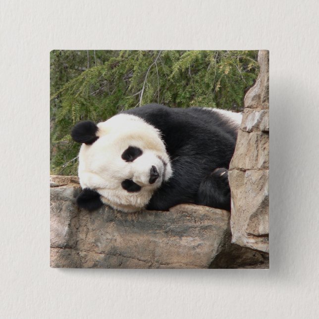 Bóton Quadrado 5.08cm Pin da panda (Frente)