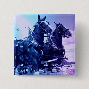 Bóton Quadrado 5.08cm Pin de Clydesdale