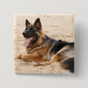 Bóton Quadrado 5.08cm Pin de descanso do quadrado do cão de german