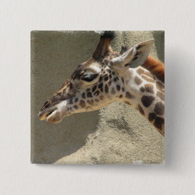 Bóton Quadrado 5.08cm Pin do girafa (Frente)