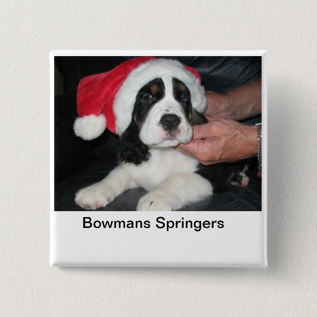 Bóton Quadrado 5.08cm Pin do papai noel de Springer (Frente)