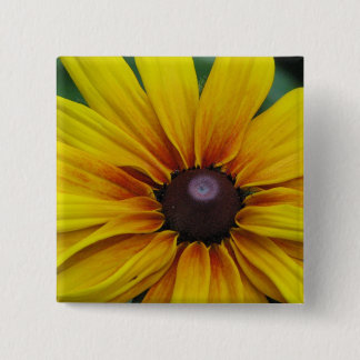 Bóton Quadrado 5.08cm Pin do quadrado da flor de Susan de olhos pretos