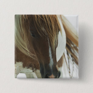 Bóton Quadrado 5.08cm Pin do quadrado do cavalo selvagem do mustang
