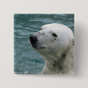 Bóton Quadrado 5.08cm Pin do quadrado do perfil do urso polar