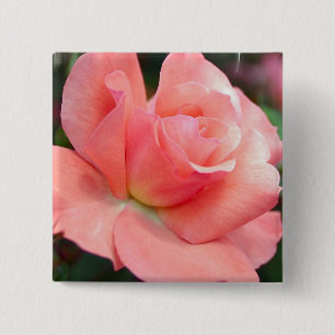 Bóton Quadrado 5.08cm Pin do rosa do rosa
