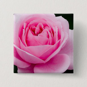 Bóton Quadrado 5.08cm Pin do rosa do rosa Pastel