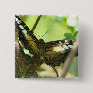 Bóton Quadrado 5.08cm Pin dourado do quadrado da borboleta