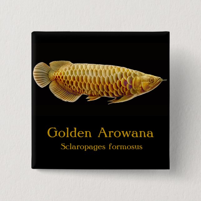 Bóton Quadrado 5.08cm Pin dourado dos peixes de Arowana (Frente)