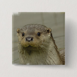 Bóton Quadrado 5.08cm Pin gigante da lontra de rio