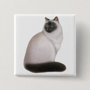 Bóton Quadrado 5.08cm Pin Himalaia macio do gato
