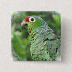 Bóton Quadrado 5.08cm Pin verde do quadrado do papagaio