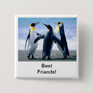 Bóton Quadrado 5.08cm pinguim