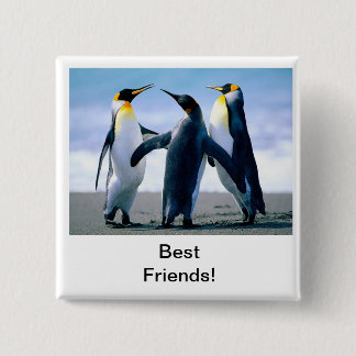 Bóton Quadrado 5.08cm pinguim