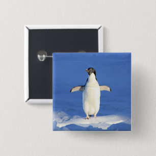 Bóton Quadrado 5.08cm Pinguim engraçado no gelo