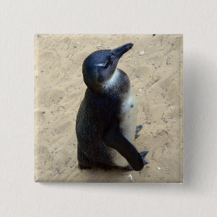 Bóton Quadrado 5.08cm Pinguim na areia