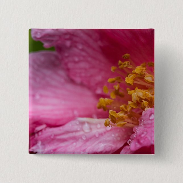 Bóton Quadrado 5.08cm Pink Camellia Flower Stamens (Frente)