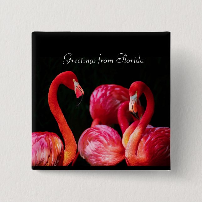 Bóton Quadrado 5.08cm Pink Flamingo's, Saudações da Flórida (Frente)