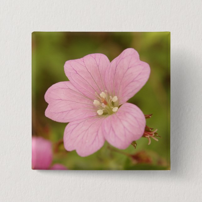 Bóton Quadrado 5.08cm Pink Geranium Badge (Frente)