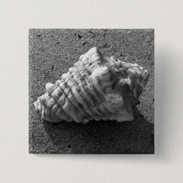 Bóton Quadrado 5.08cm Pino do Botão de Praia da Seashell Conch (Frente)