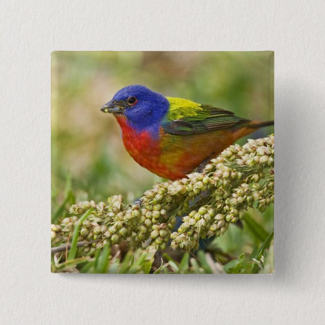 Bóton Quadrado 5.08cm Pintor Verdadeiro (Frente)