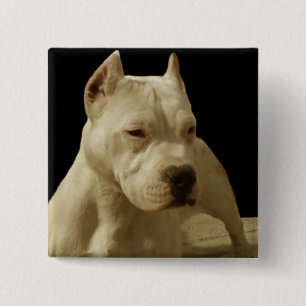 Bóton Quadrado 5.08cm Pitbull branco