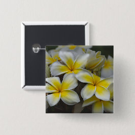 Bóton Quadrado 5.08cm Plumeria Tropical Amarela e Branca Flor